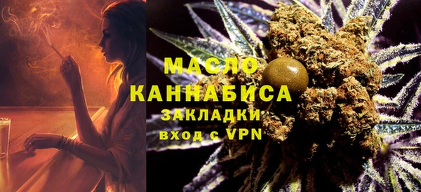 твердый Горняк