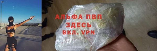 твердый Горняк