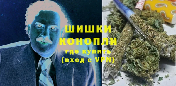твердый Горняк