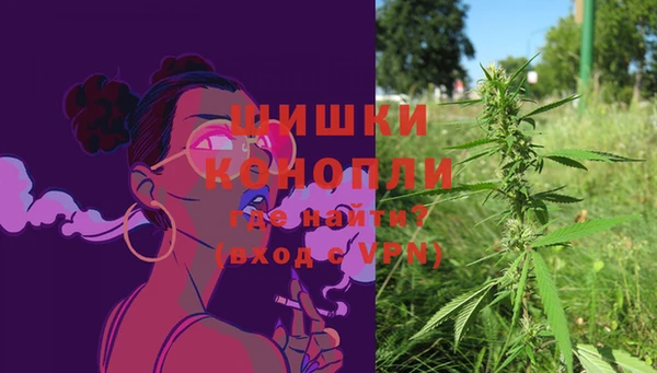 твердый Горняк