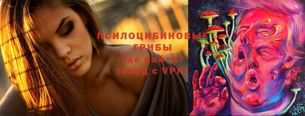 твердый Горняк