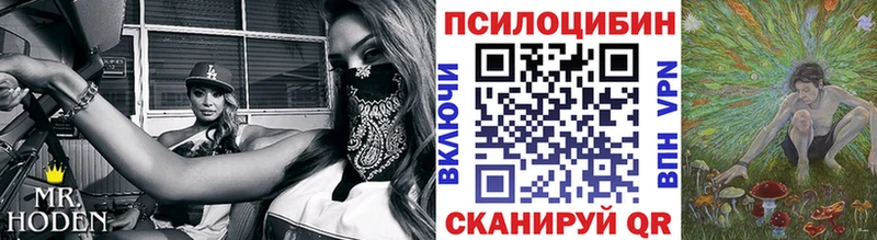 Псилоцибиновые грибы Cubensis  Купить где  Кунгур 