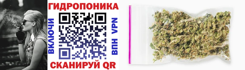 Купить закладки  Кунгур  Шишки марихуана сатива 